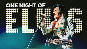 one night of elvis tour